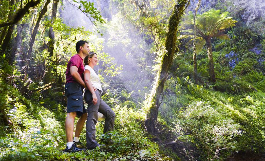 Trilha do Copa Alta - Turvo - Imagem Gralha Azul Turismo e Aventura