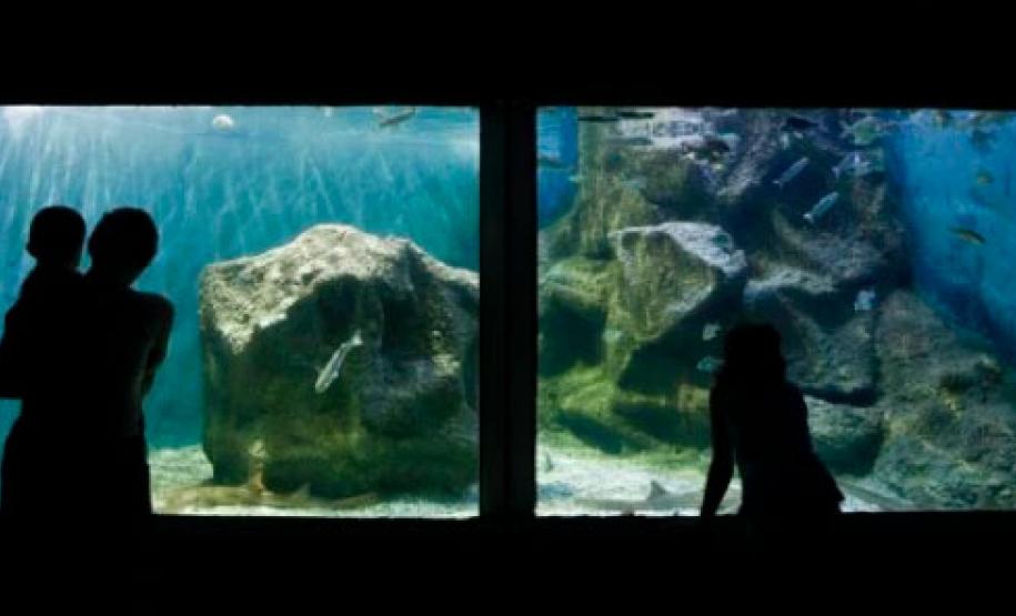 Aventura, natureza e praias do Paraná: combinação perfeita