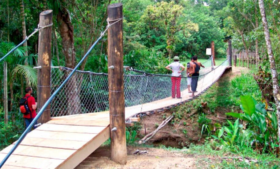 Aventura, natureza e praias do Paraná: combinação perfeita