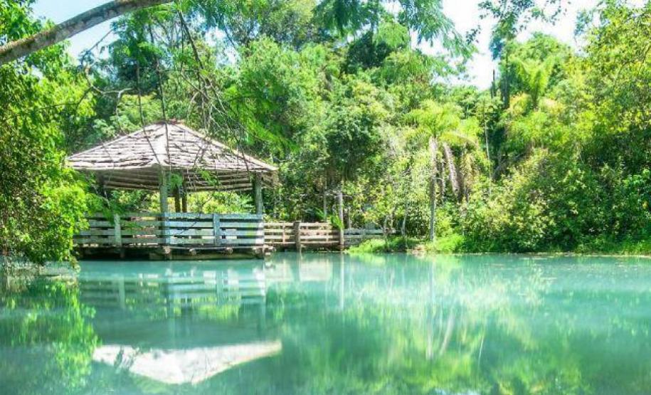 Reserva Ecológica Caraguatatiba da Divisa