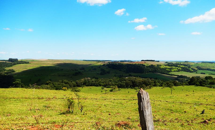 Rio Bonito do Iguaçu