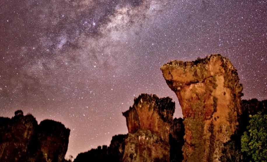 Camelo - Parque Estadual de Vila Velha