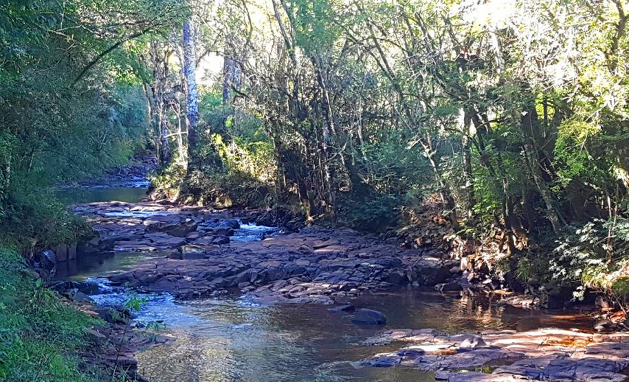 Parque Ambiental de Gamelão