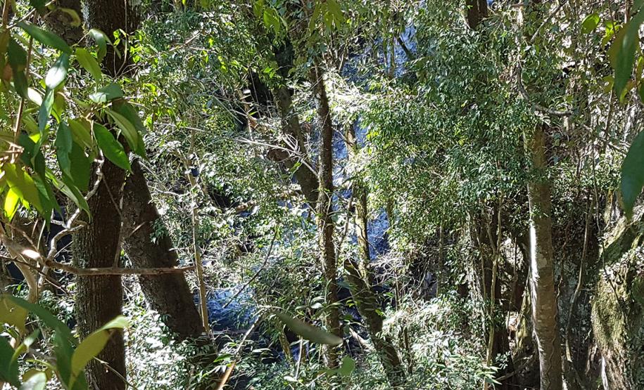 Cachoeira do Vogivoda