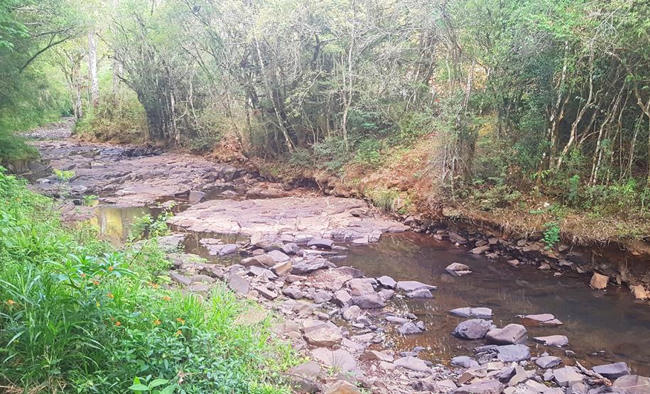 Parque Ambiental de Gamelão