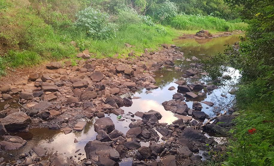 Parque Ambiental de Gamelão
