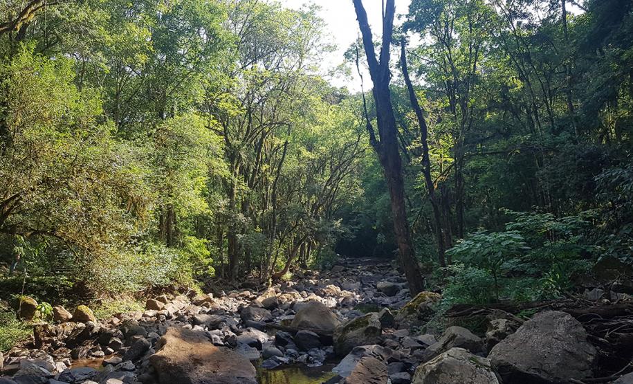 Cachoeira do Vogivoda