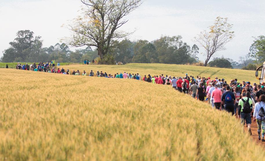 Caminhada na Natureza