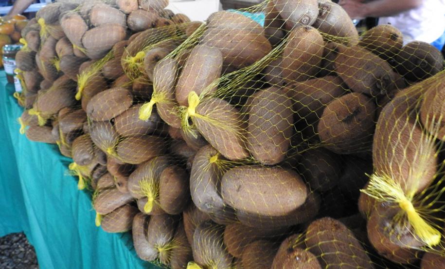 Feira do Kiwi Amarelo