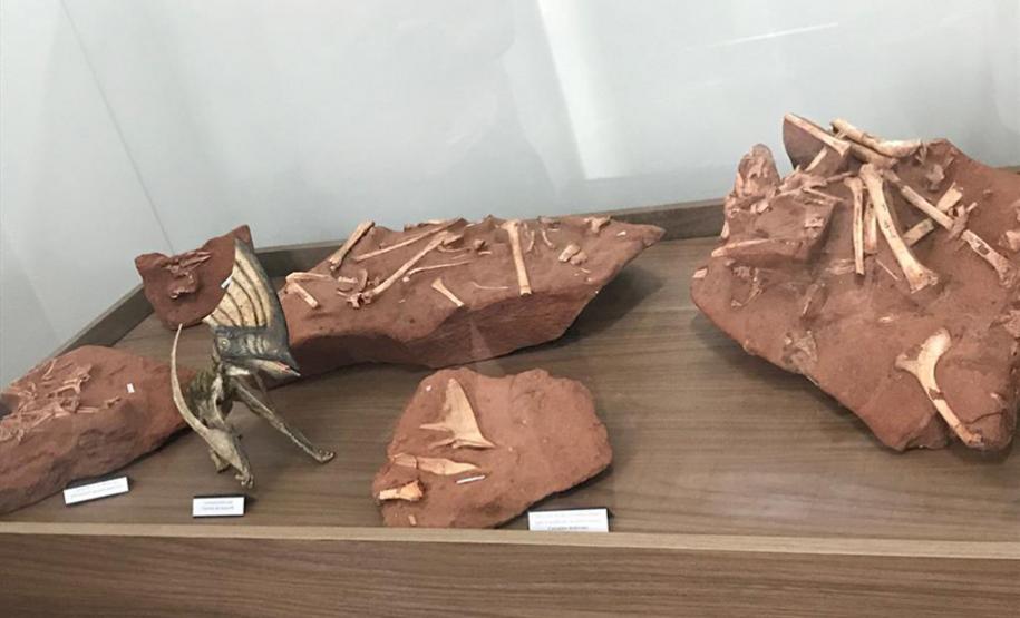 Museu de Paleontologia