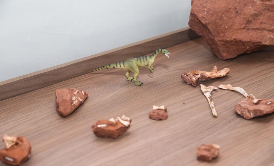 Sítio paleontológico no Paraná revelou quatro espécies de animais