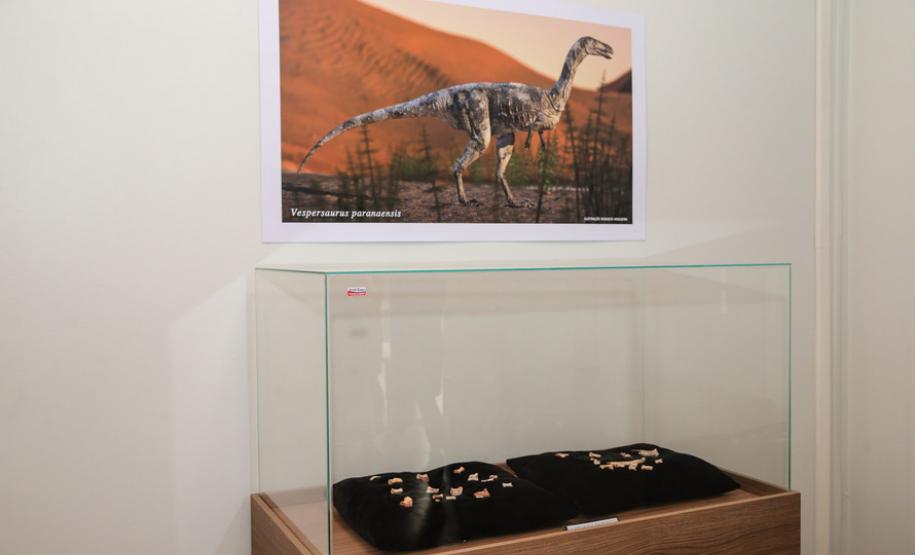 Sítio paleontológico no Paraná revelou quatro espécies de animais