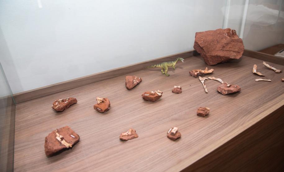 Sítio paleontológico no Paraná revelou quatro espécies de animais