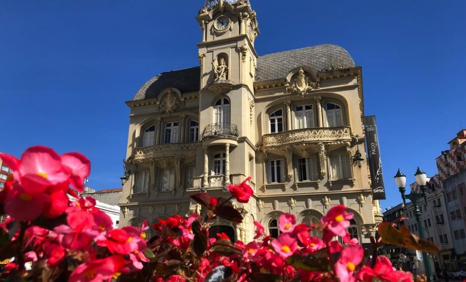 Campos de flores no Paraná encantam turistas