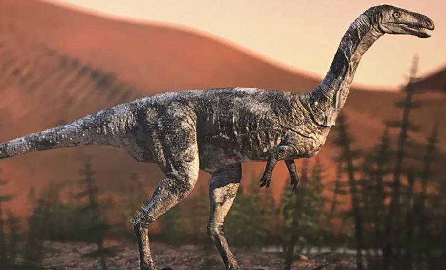 Vespersaurus Paranaensis