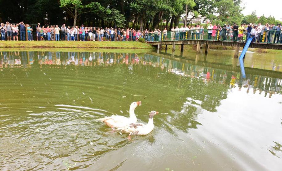 Bosque Municipal André Ricardo da Silva
