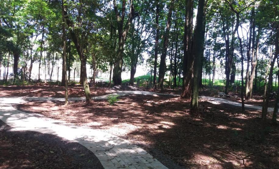 Gruta Nossa Senhora da Rosa Mística