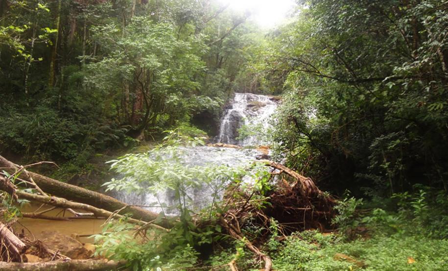 Cachoeira "do Orlando"