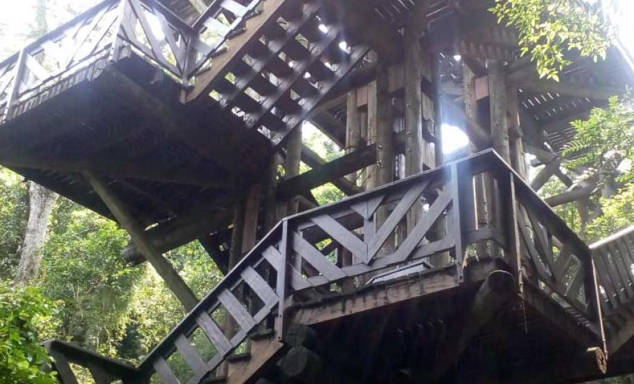 Bosque Alemão