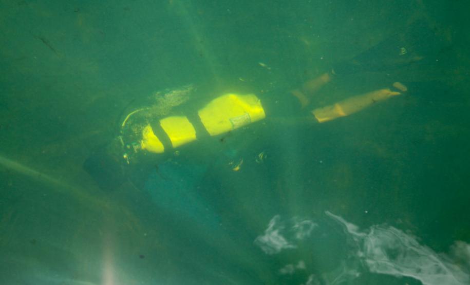 Diversidade e beleza atraem mergulhadores ao Rio Paraná