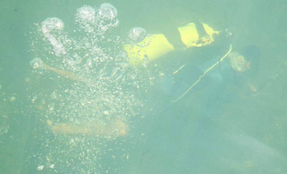 Diversidade e beleza atraem mergulhadores ao Rio Paraná