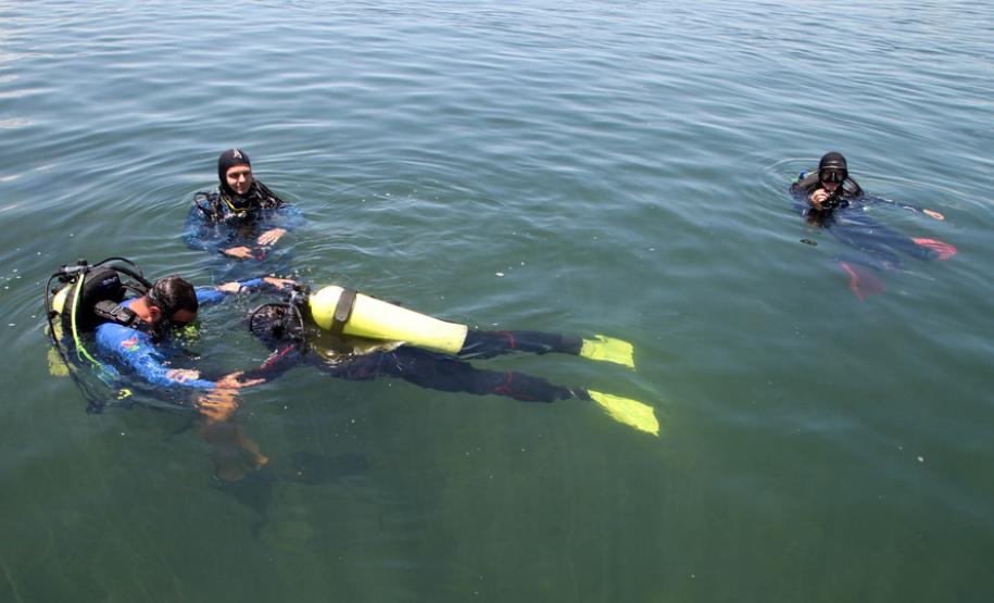 Diversidade e beleza atraem mergulhadores ao Rio Paraná