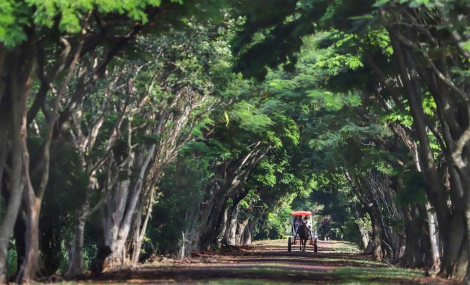 Fotos: Turismo Rural