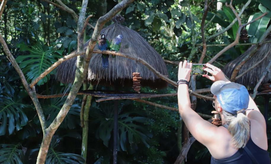 Pontos Turísticos Paraná