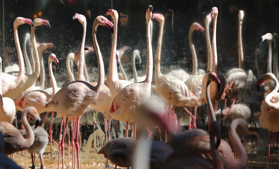 Pontos Turísticos Paraná
