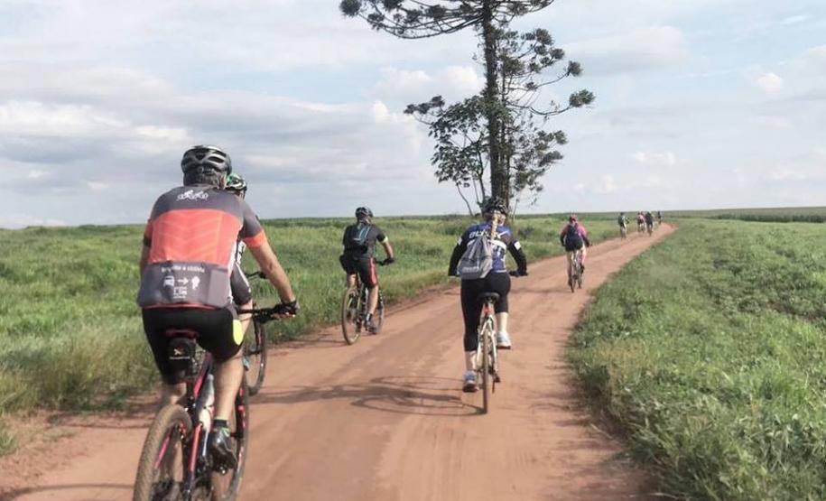 Foto: Diego Reis - IAT Campo Mourão