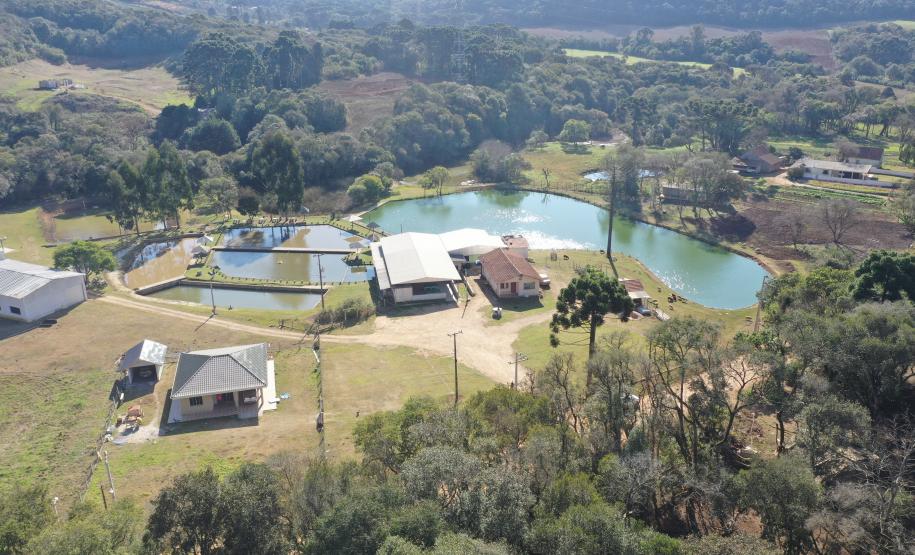 Fotos Almirante Tamandaré