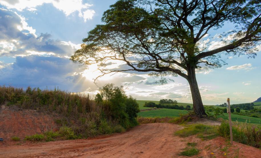 Fotos Rio Branco do Ivai