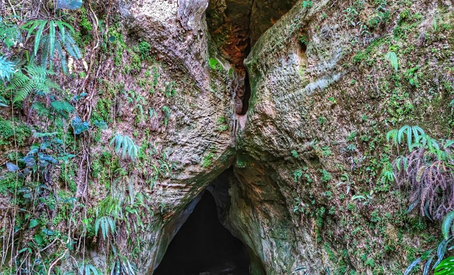 fotos Rio Branco do Ivaí