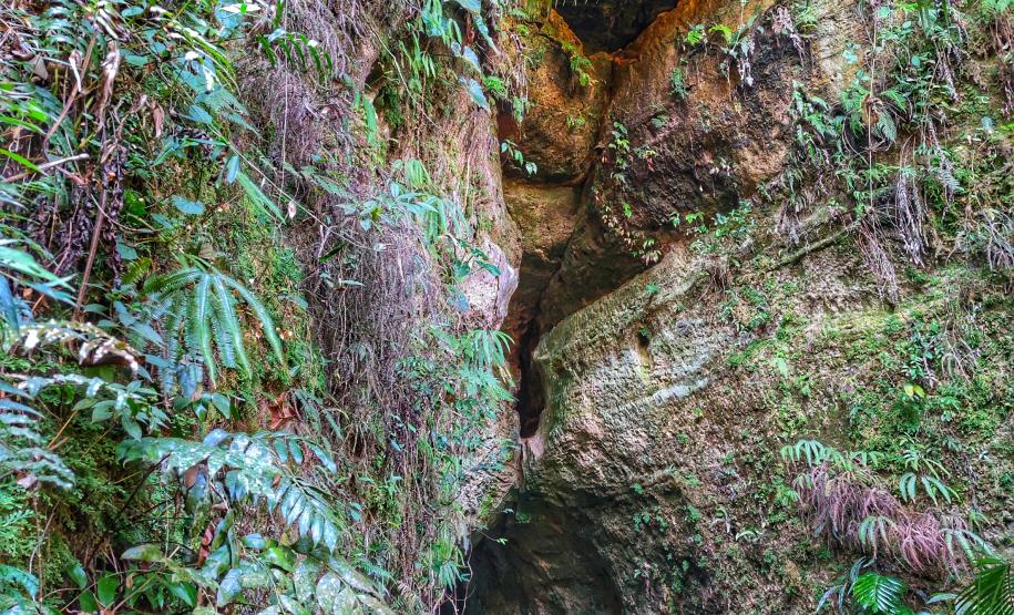 fotos Rio Branco do Ivaí