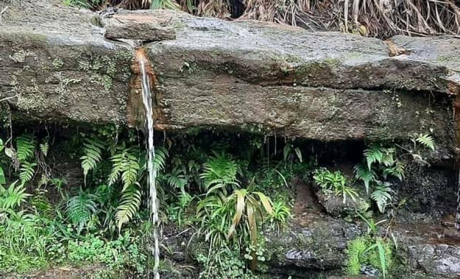 Fotos Rio Branco do Ivaí