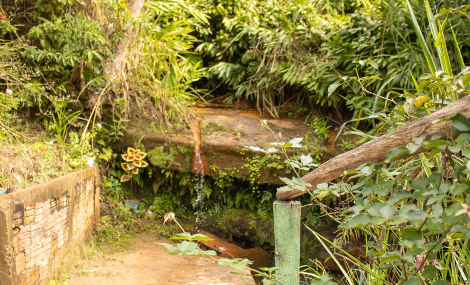 Fotos Rio Branco do Ivai