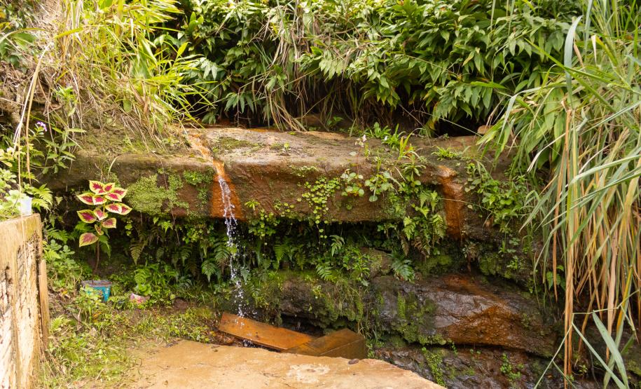 Fotos Rio Branco do Ivai