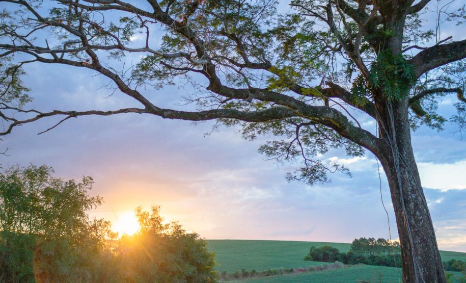 Fotos Rio Branco do Ivai