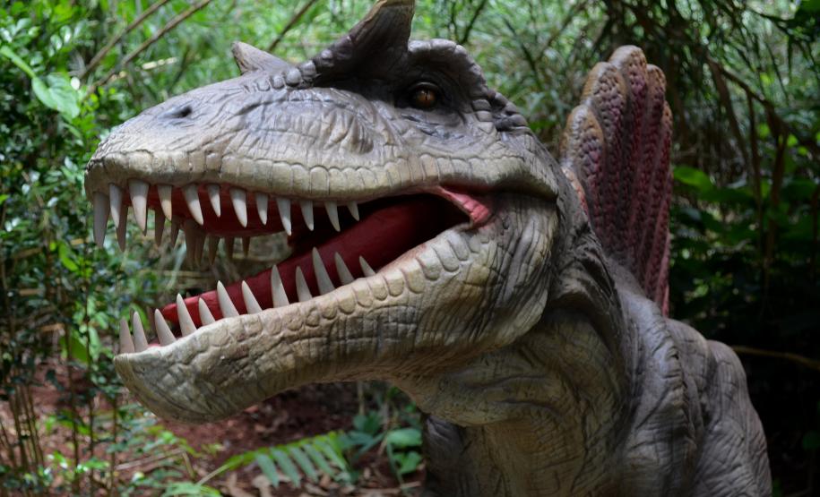 DREAMS PARK SHOW - foto Adilson Borges_