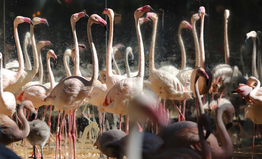 Governo do Paraná participa de quatro eventos de promoção turística nos próximos dias