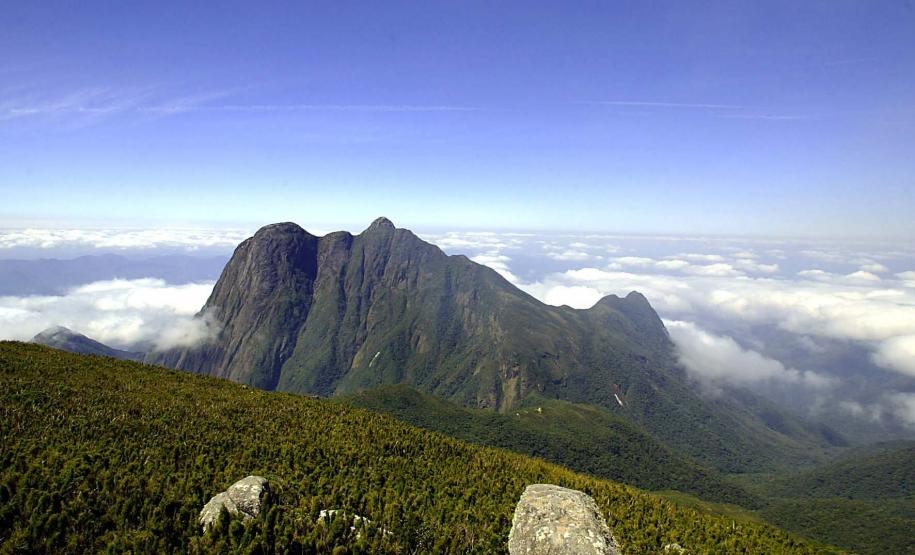 Grande Reserva Mata Atlântica vence prêmio internacional de turismo responsável