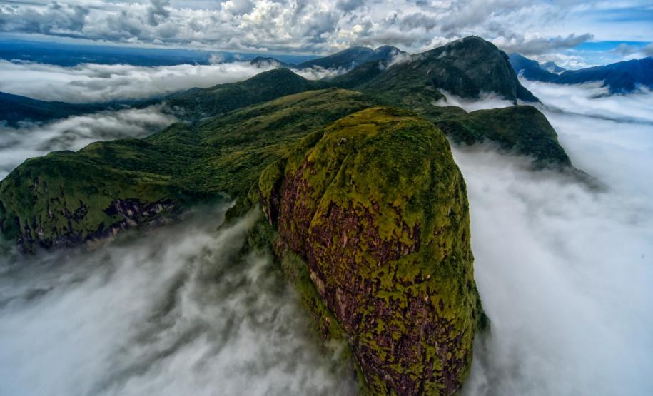 Grande Reserva Mata Atlântica vence prêmio internacional de turismo responsável