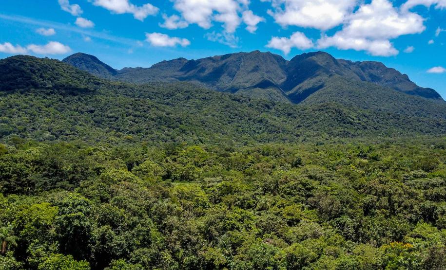 Grande Reserva Mata Atlântica vence prêmio internacional de turismo responsável