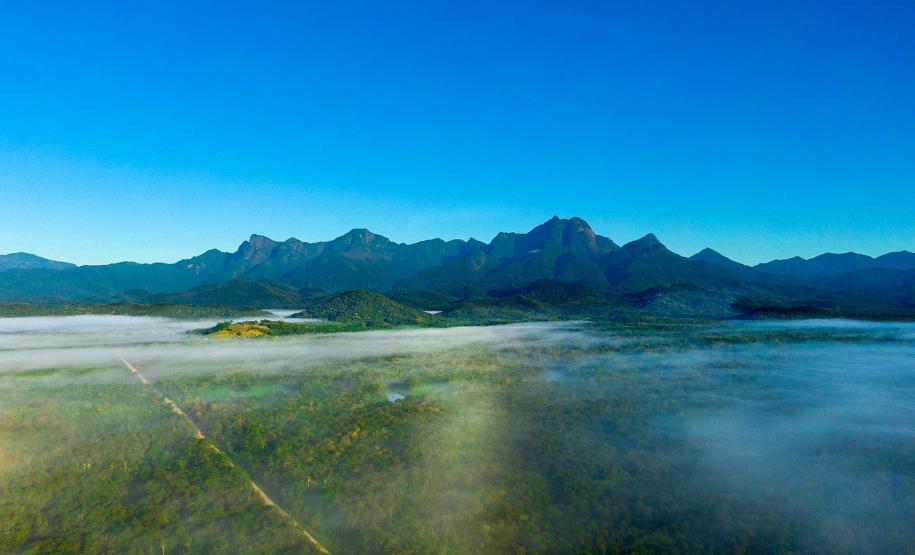 Paraná leva potencial sustentável da Mata Atlântica ao Salão Nacional do Turismo