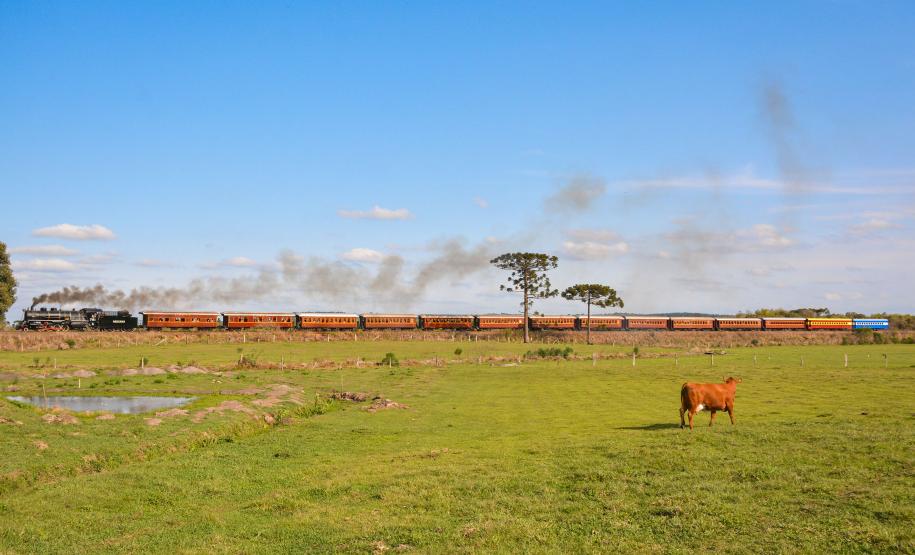 Trem dos Tropeiros: locomotiva a vapor percorre trajeto repleto de história a partir da Lapa