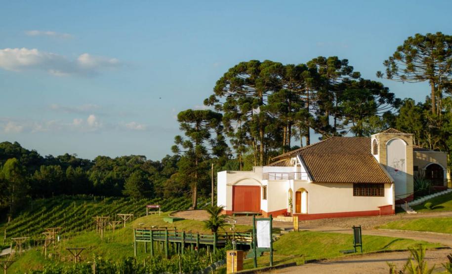 Série Inverno no Paraná - Vinhos