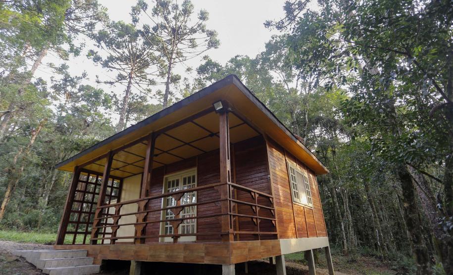 Série Inverno no Paraná - Vinhos