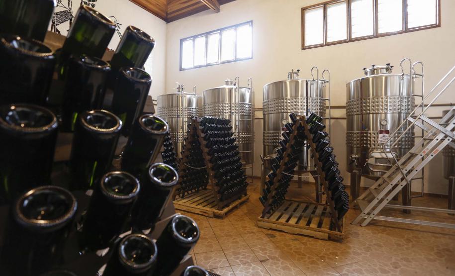 Série Inverno no Paraná - Vinhos