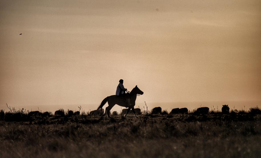 fotos série inverno