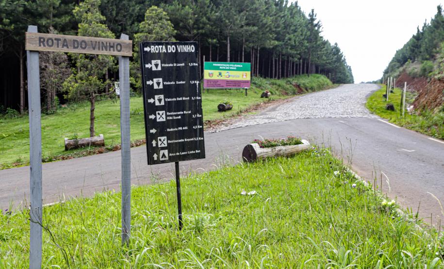 Série Inverno no Paraná - Vinhos